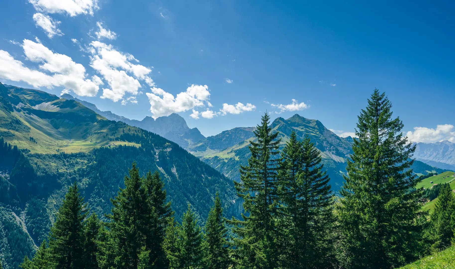 Nachfolge als akute strategische Herausforderung